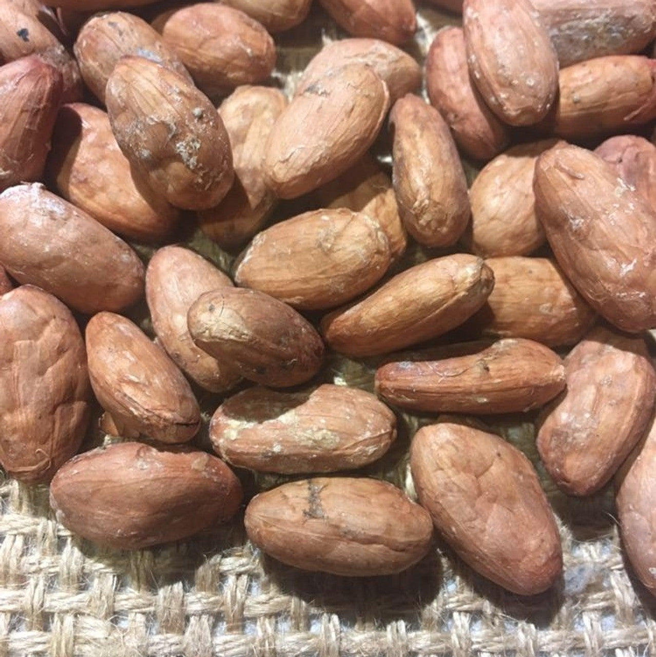 Hacienda San Jose Cacao Raw Beans - Ecuadorian Single Plantation