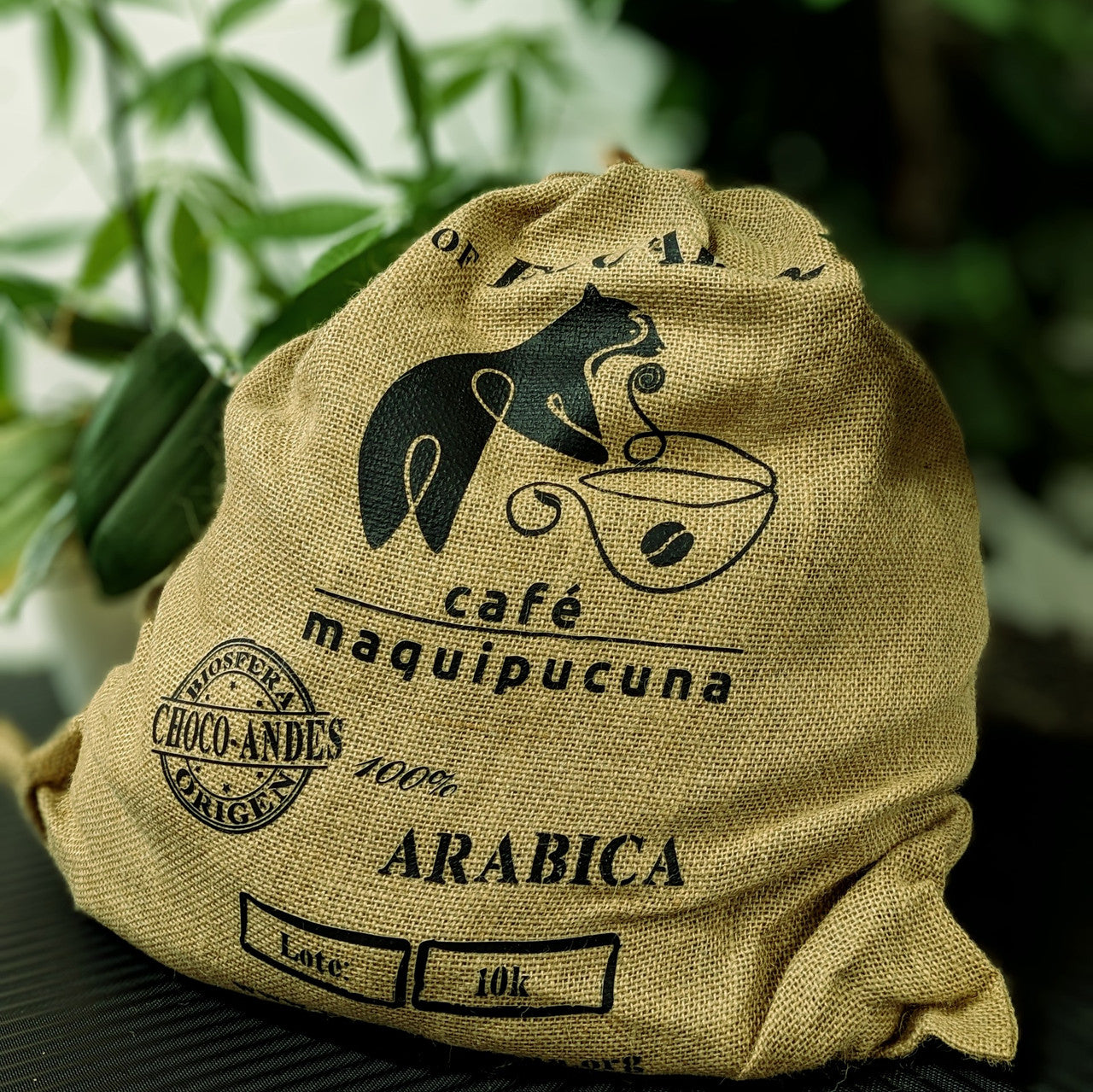 MAQUIPUCUNA Cloud Forest - Specialty Green Coffee Beans