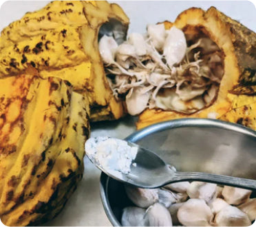 Freeze-Dried Cacao Fruit- 100% pulp powder