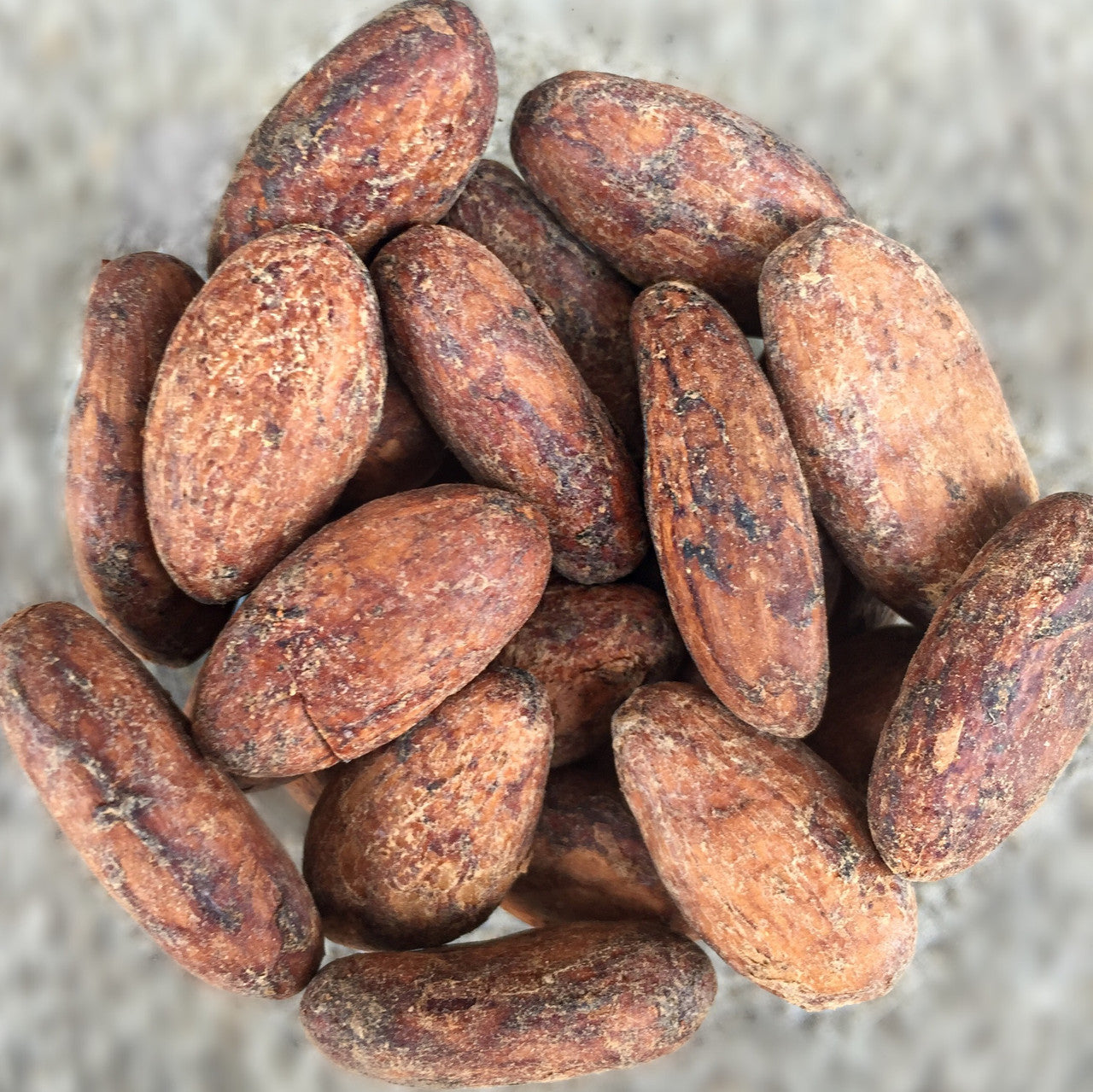 Raw Cacao Beans - Ecuadorian Nacional (Arriba)
